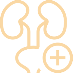 Уролог в Павлодаре | Levita Clinic